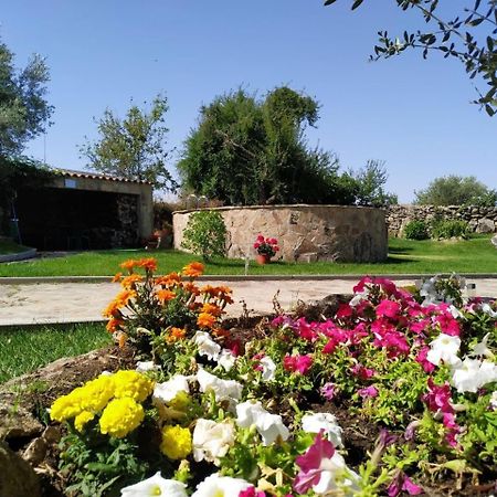 El Lagar Del Abuelo En Los Arribes Del Duero, Badilla, Zamora Exterior foto