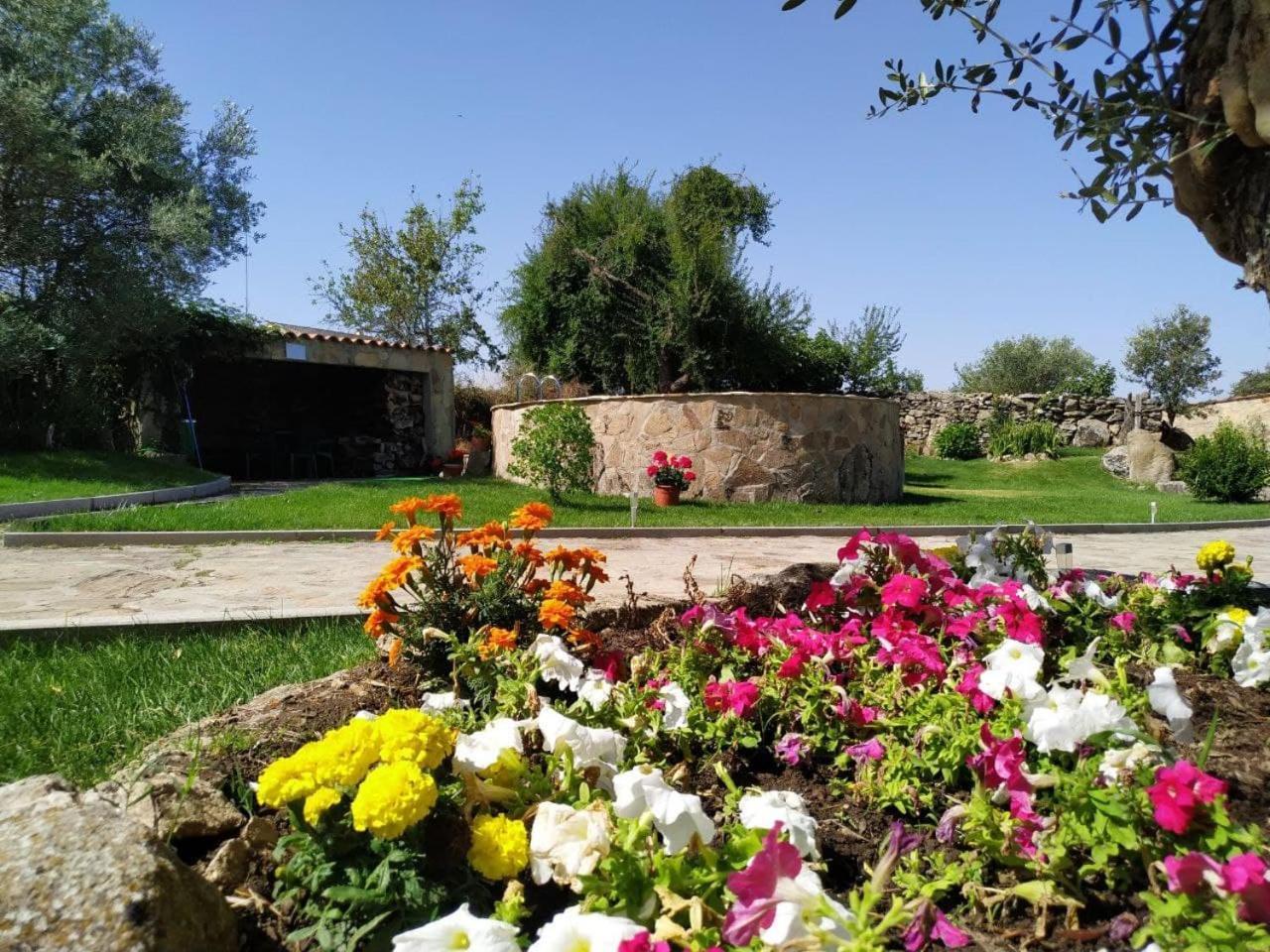 El Lagar Del Abuelo En Los Arribes Del Duero, Badilla, Zamora Exterior foto